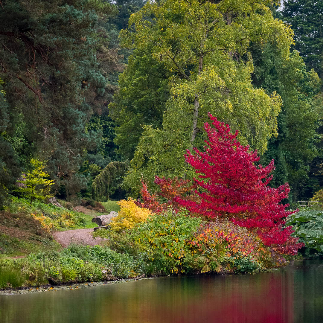  Autumn Hues 